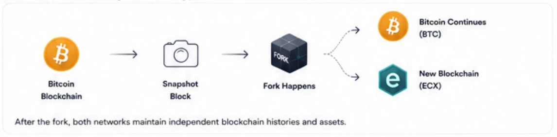 How a Bitcoin hard fork separates Bitcoin and a new blockchain after a snapshot
